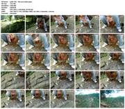 th 703464551 geile ehe PissamGraben 123 192lo - Privatamateure/Mydirtyhobby Collections